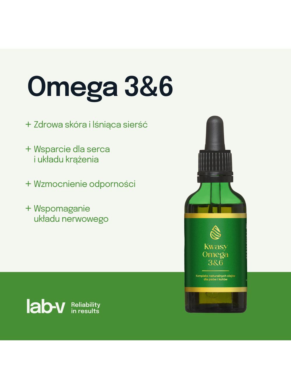 Lab-v Kwasy Tłuszczowe Omega 3 i 6 stosowane na ogólną poprawę stanu zdrowia oraz sierści i skóry dla psów i kotów 50ml