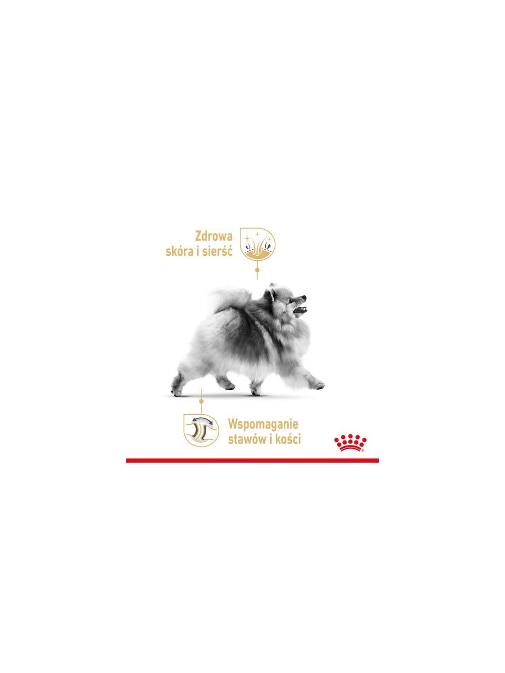 ROYAL CANIN Pomeranian 12x85g karma mokra -pasztet, dla psów dorosłych rasy Pomeranian