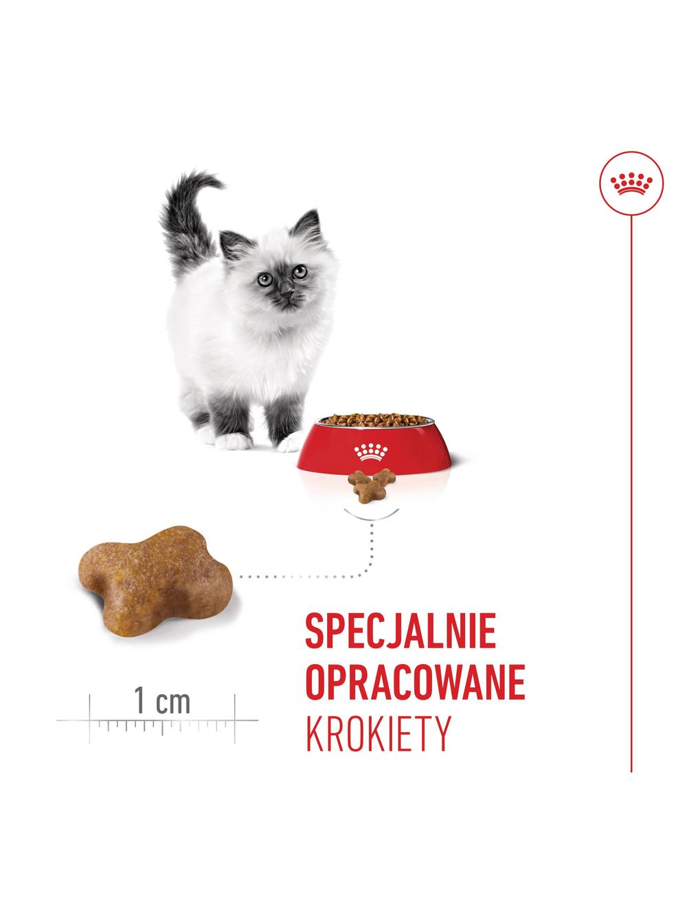 ROYAL CANIN  Kitten 4kg karma sucha dla kociąt od 4 do 12 miesiąca życia + PIŁKA GRATIS!!