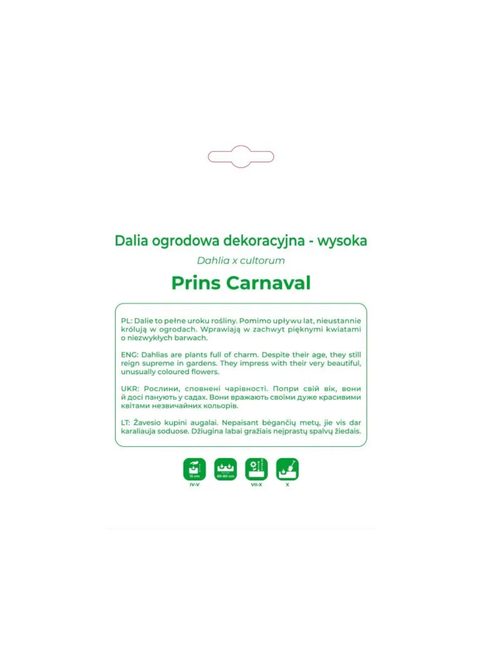Dalia Prins Carnaval czerwono-różowa 1szt.