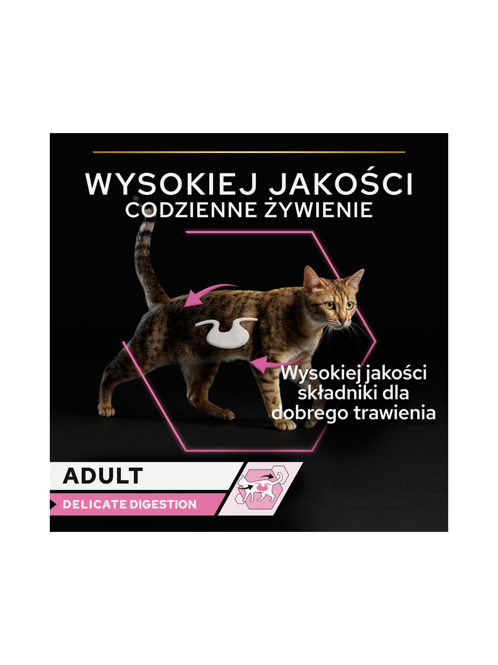 PRO PLAN Delicate Digestion Mokra karma dla kotów z indykiem w sosie 10x85g