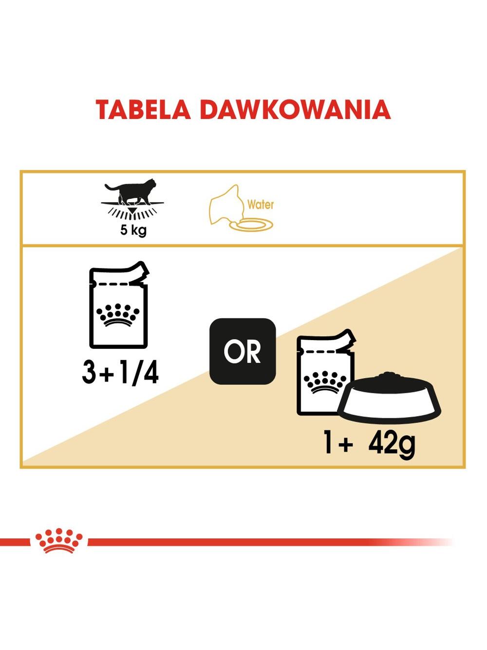 ROYAL CANIN British Shorthair Adult saszetka 12x85g (Sos) karma mokra w sosie dla kotów dorosłych rasy brytyjski krótkowłosy