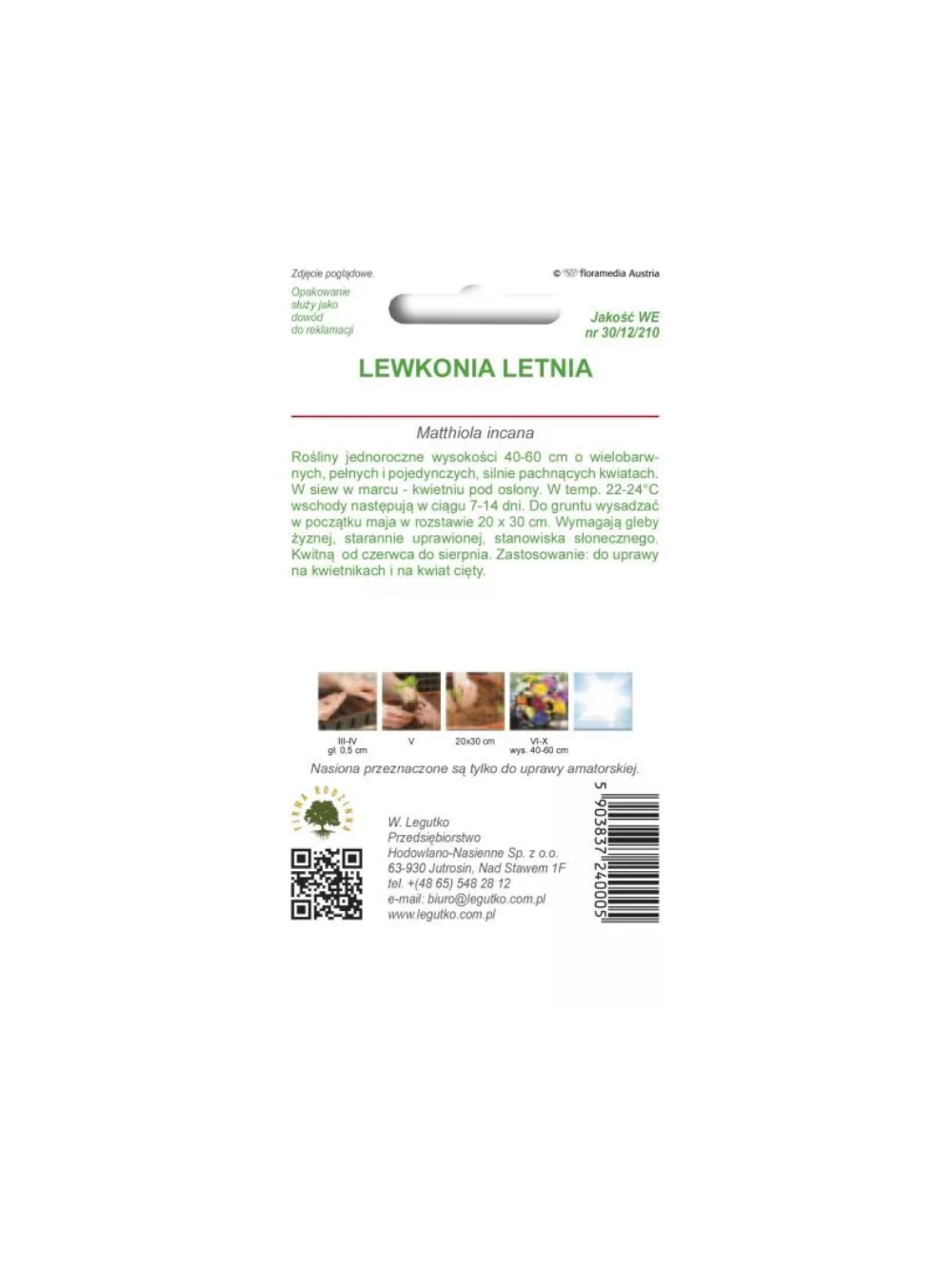 Lewkonia letnia mieszanka