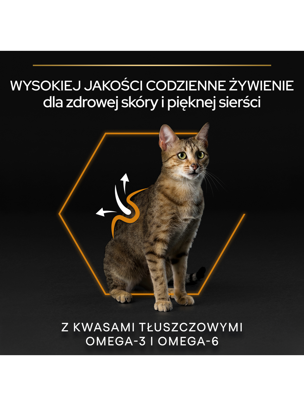 PRO PLAN Adult Derma Care Bogata w Łososia Sucha karma dla kota 10kg