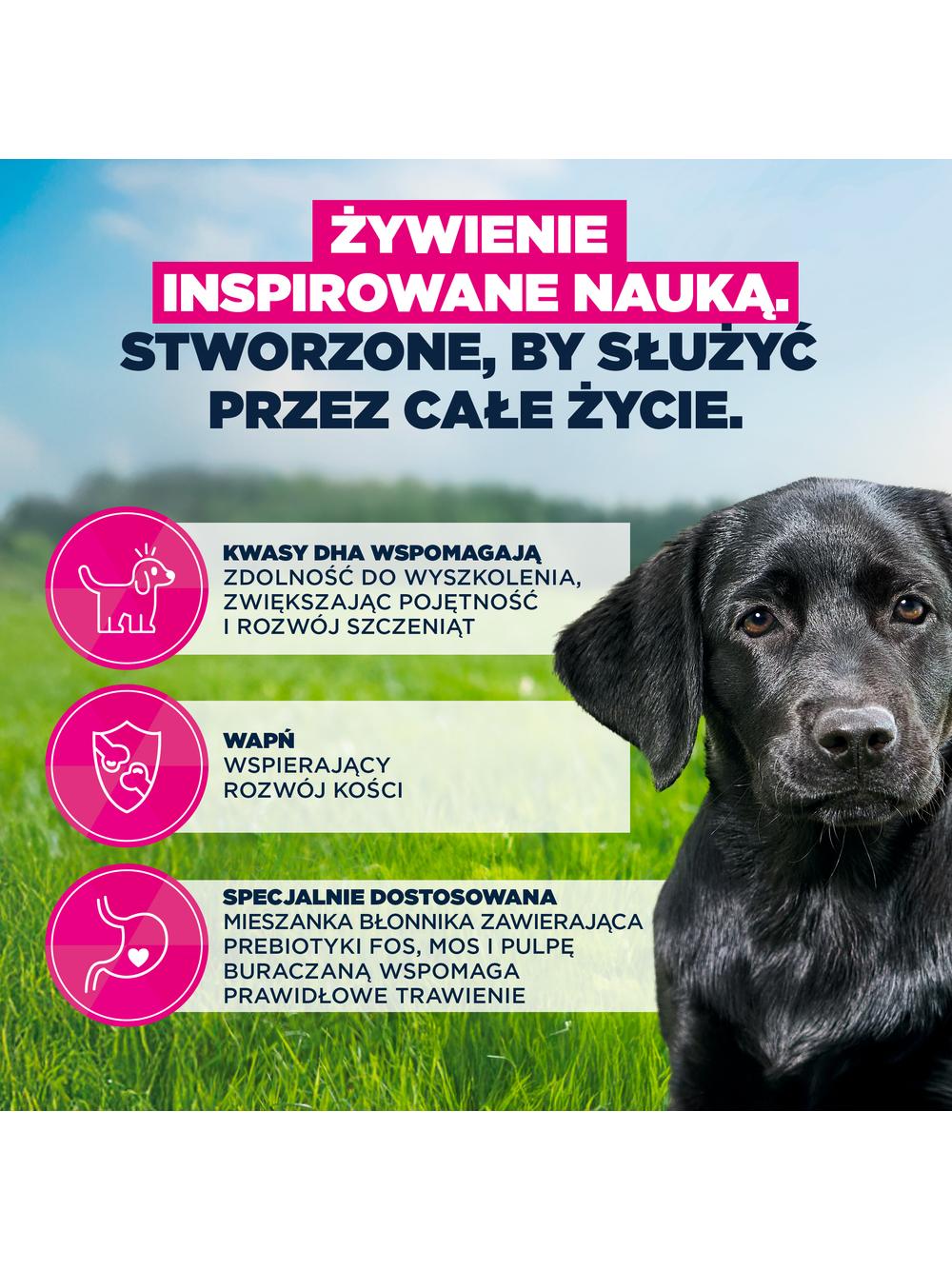 EUKANUBA Puppy&Junior Lamb&Rice Large Breeds 12kg