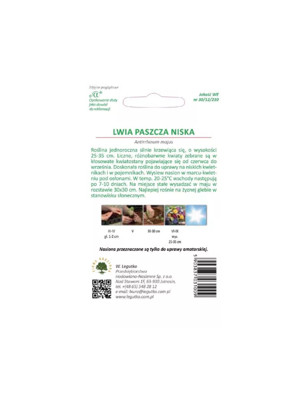 Lwia paszcza niska mieszanka