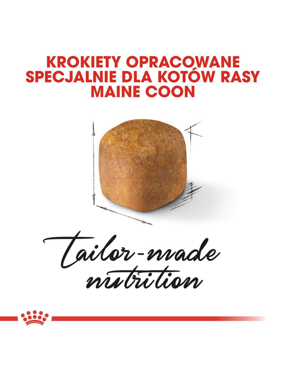 ROYAL CANIN Maine Coon Kitten 10kg +  niespodzianka dla kota GRATIS!