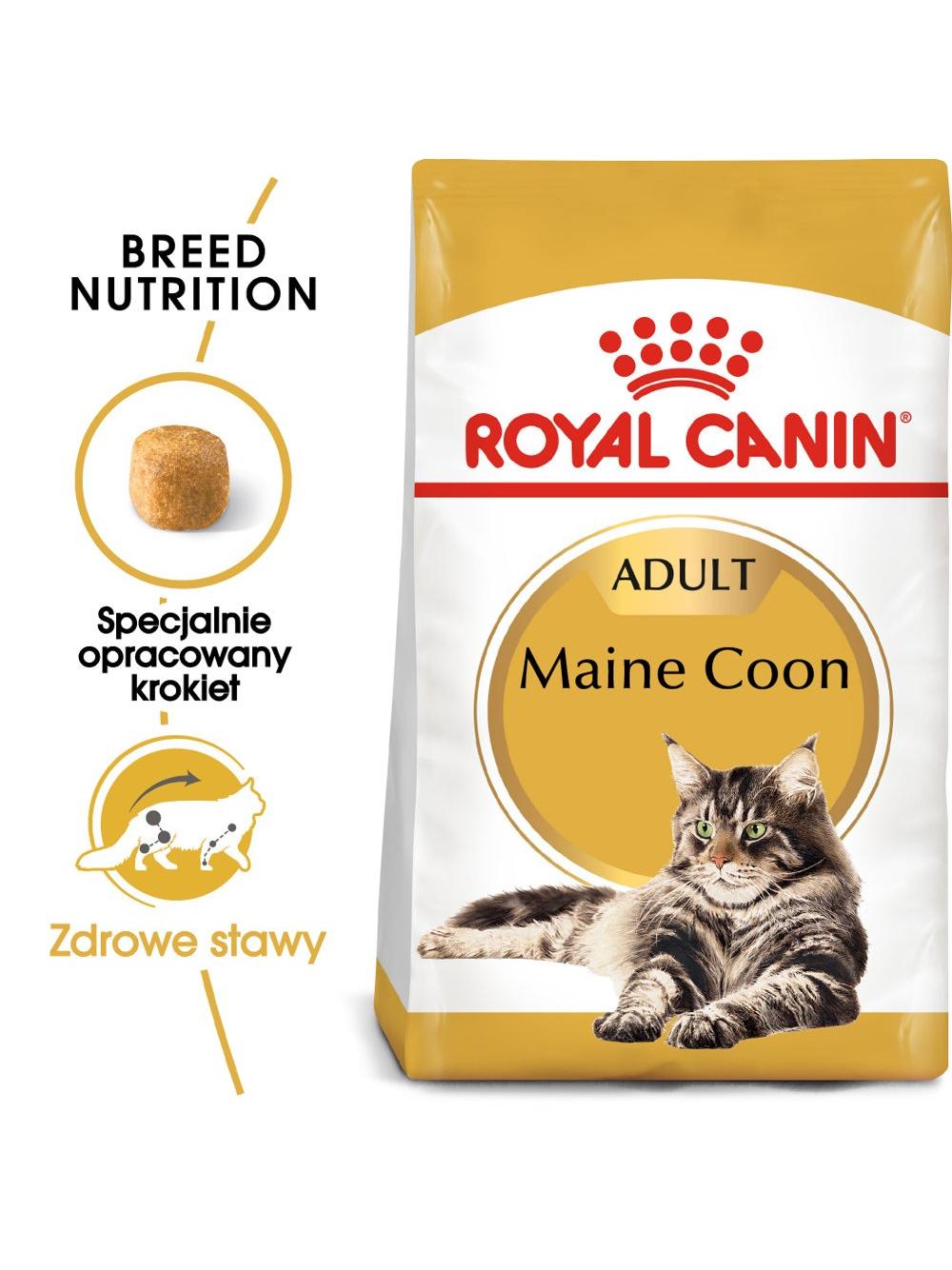 ROYAL CANIN Maine Coon Adult 4kg karma sucha dla kotów dorosłych rasy maine coon