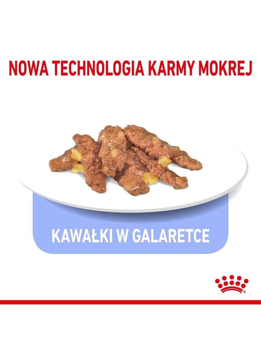 ROYAL CANIN  Indoor  Sterilised Jelly saszetka 12x85g
