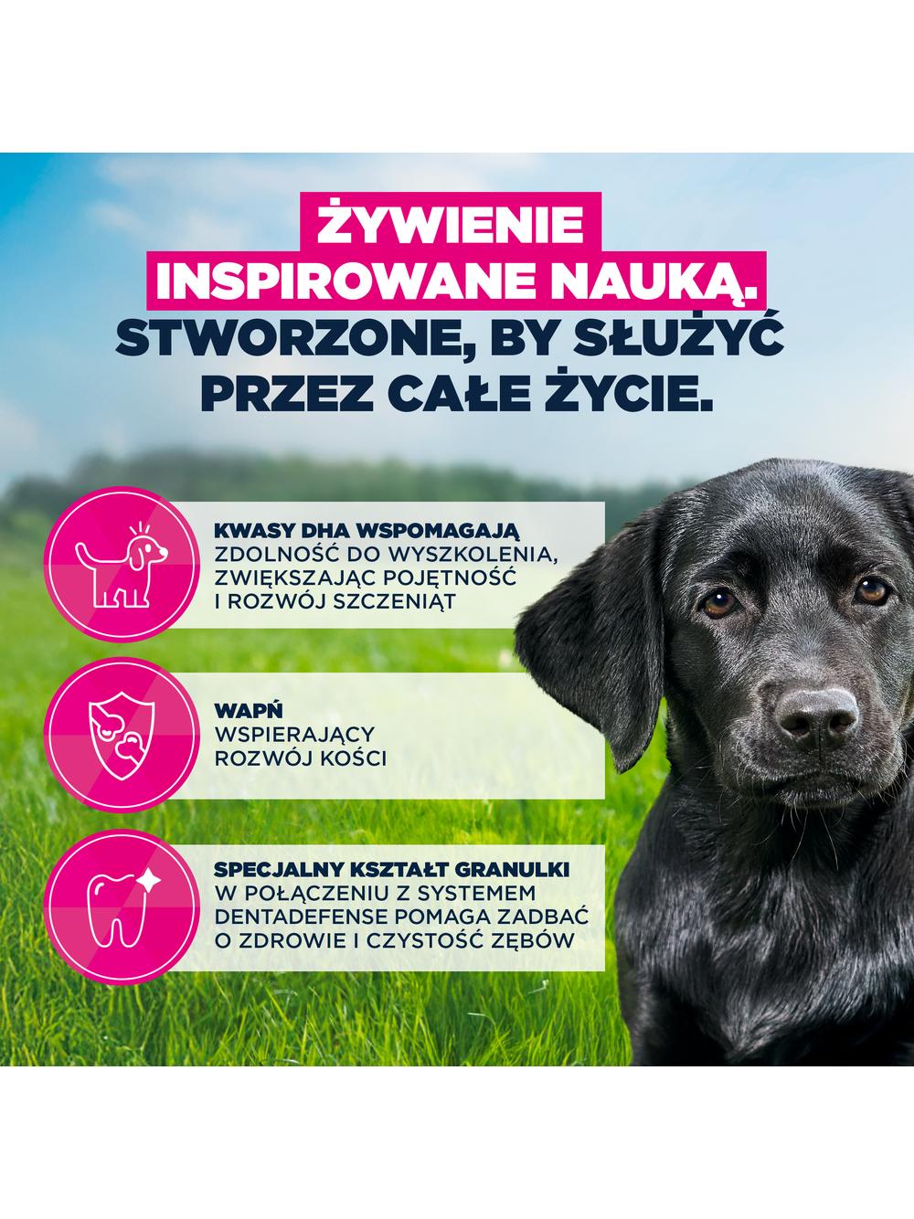 EUKANUBA Junior Large 15kg