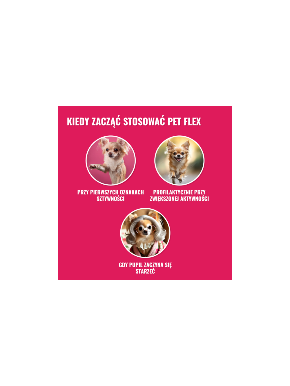 PET FLEX – Preparat na stawy i mobilność dla zwierząt 500ml