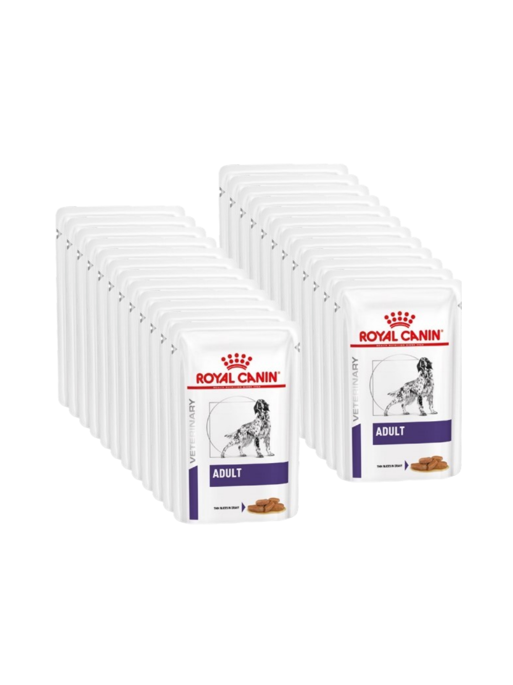 ROYAL CANIN Adult Dog 2x(12x100g)