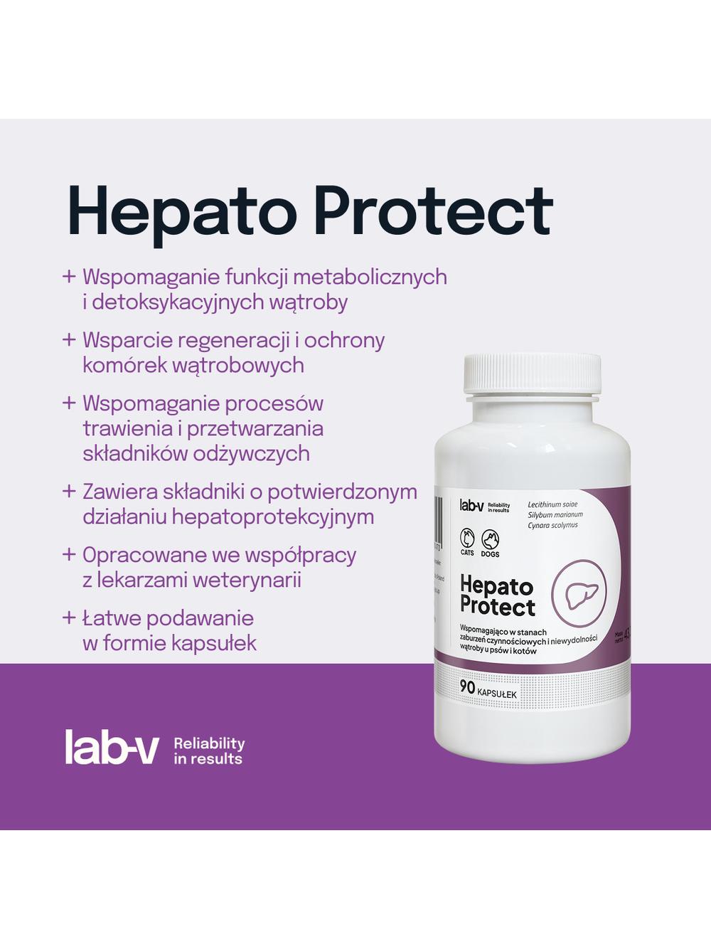 Lab-v Hepato Protect – Wspomaganie funkcji wątroby dla psów i kotów 90 kapsułek