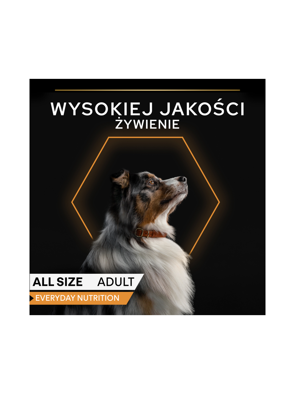PRO PLAN Everyday Nutrition Adult Karma dla psów bogata w rybę w galaretce 3x400g (2+1 gratis)
