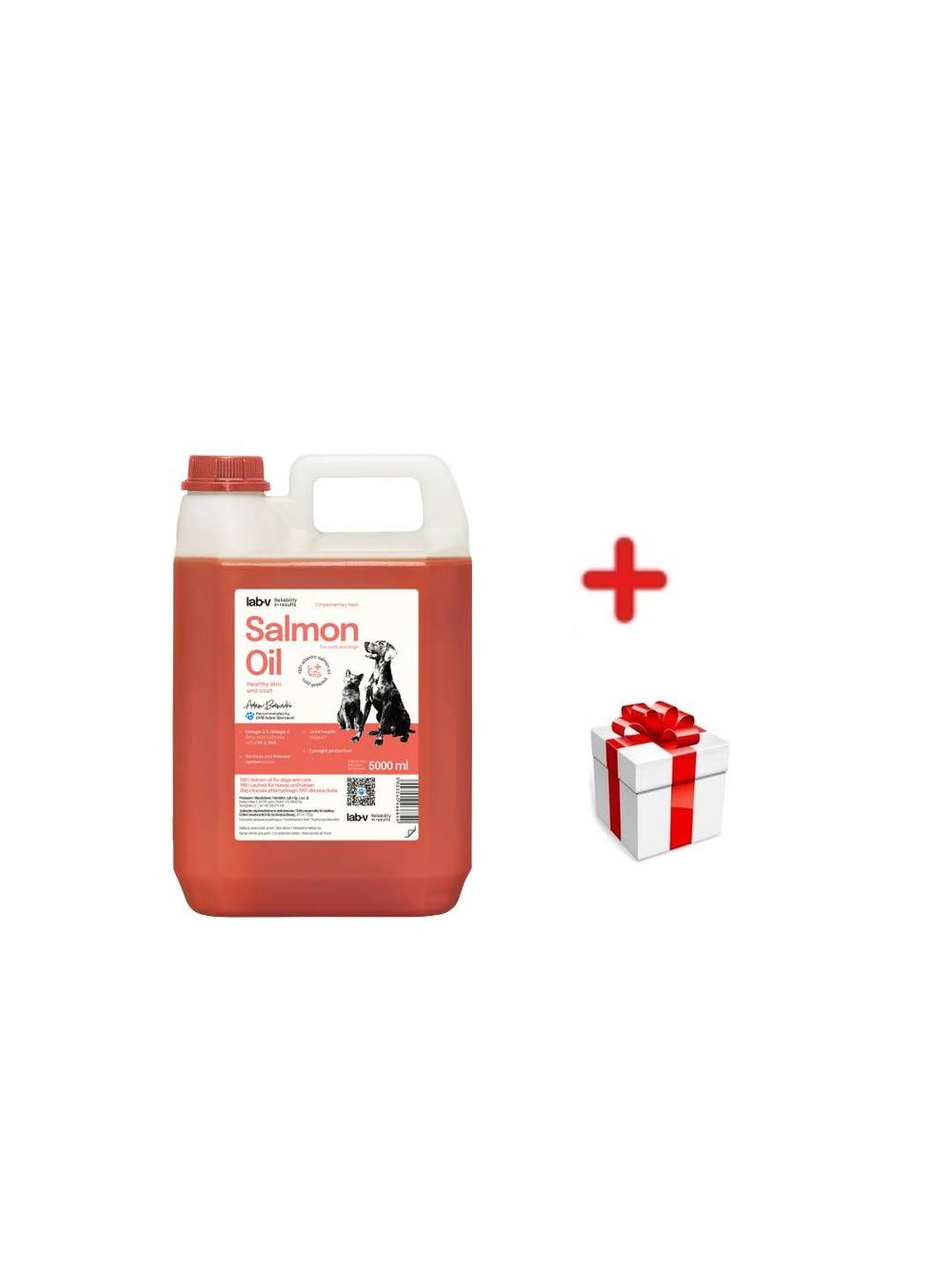 Lab-v Olej z Łososia 100% Dla Psa i Kota w Każdym Wieku 5000 ml Tłoczony Na Zimno + NIESPODZIANKA DLA KOTA GRATIS!