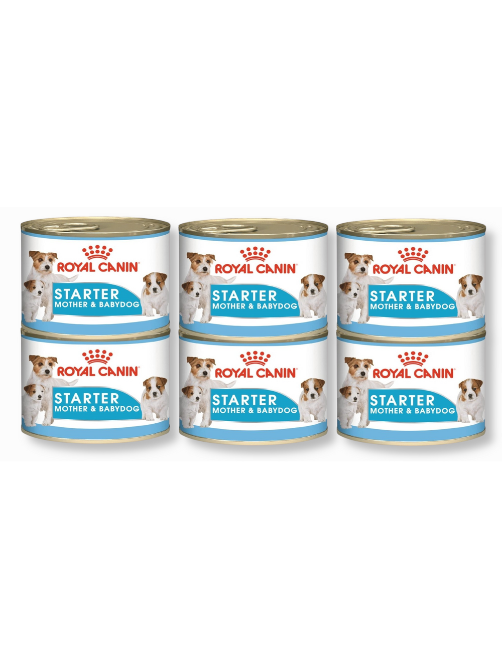 ROYAL CANIN Starter Mousse Mother & Babydog 6x195g karma mokra - mus, dla suk w czasie ciąży, laktacji oraz szczeniąt