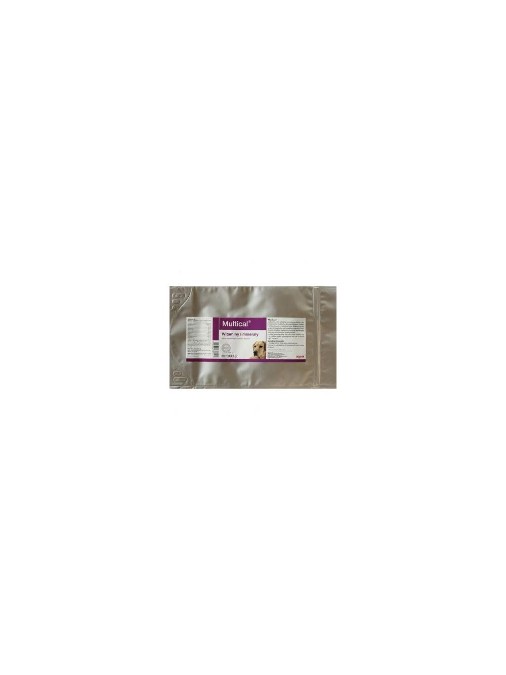 Dolvit Multical 1000g proszek