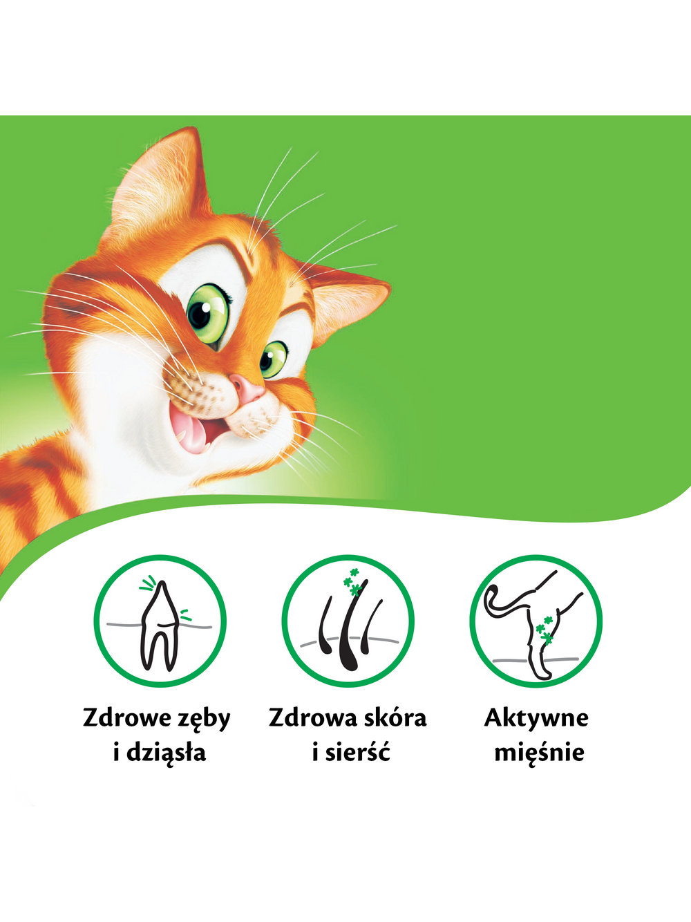 KITEKAT 12kg - sucha karma dla kotów z kurczakiem i warzywami / Opakowanie uszkodzone (7274) !!!