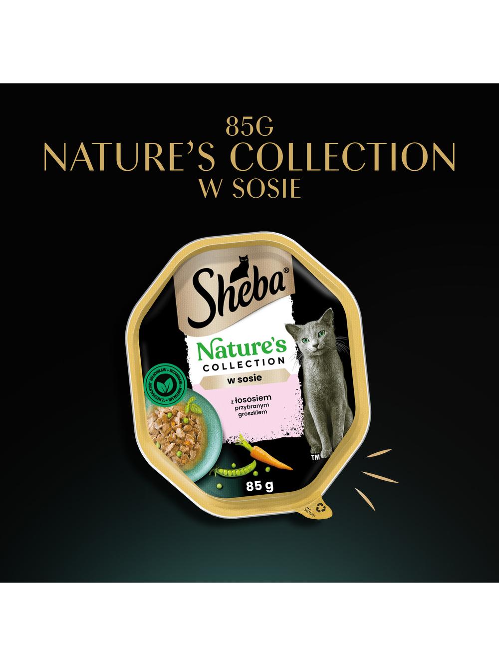 SHEBA Nature’s Collection tacka 85 g – mokra karma pełnoporcjowa dla dorosłych kotów, kawałki z łososiem przybranym groszkiem, w sosie