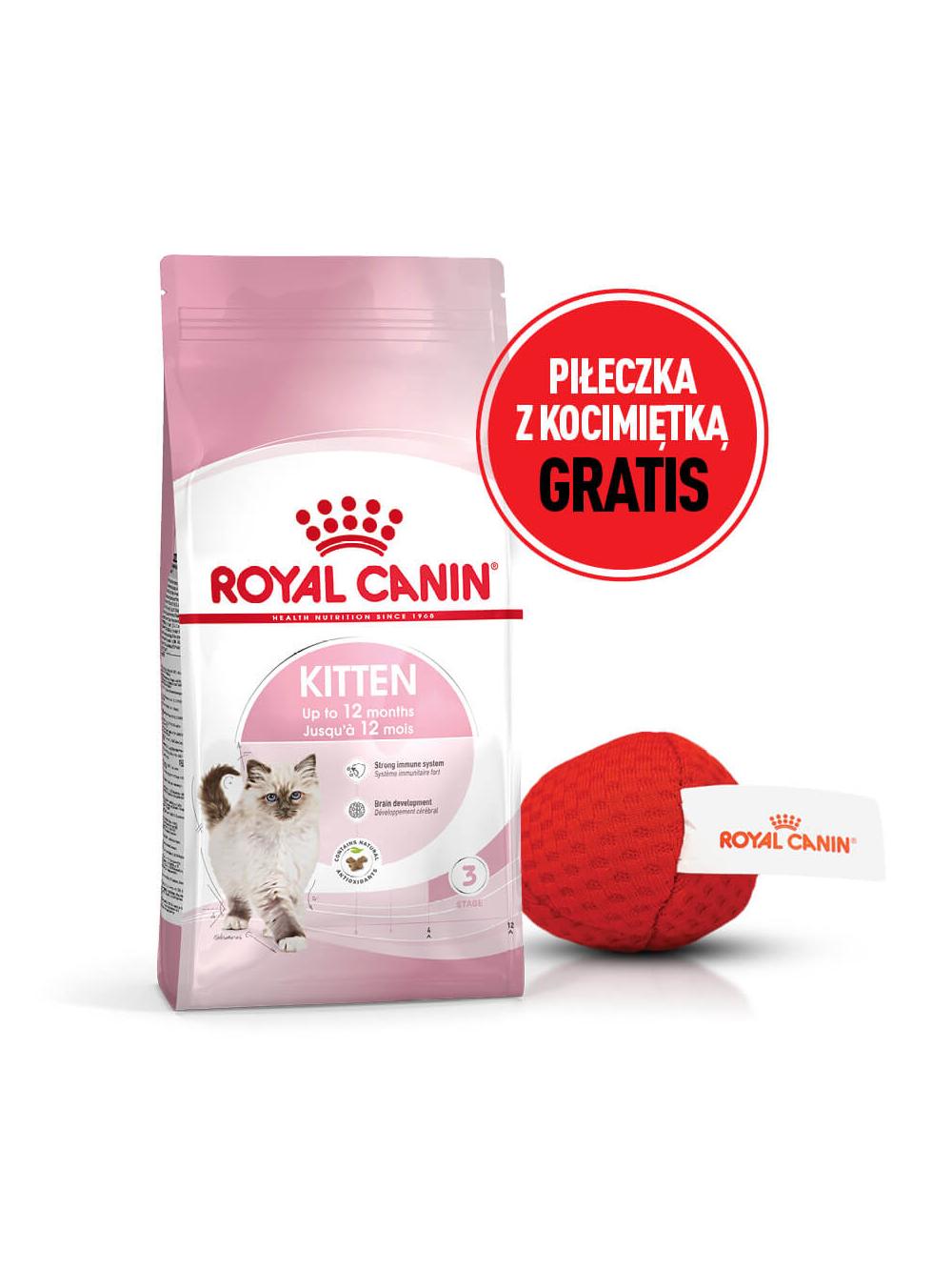 ROYAL CANIN  Kitten 10kg karma sucha dla kociąt od 4 do 12 miesiąca życia + Piłka dla kota GRATIS!
