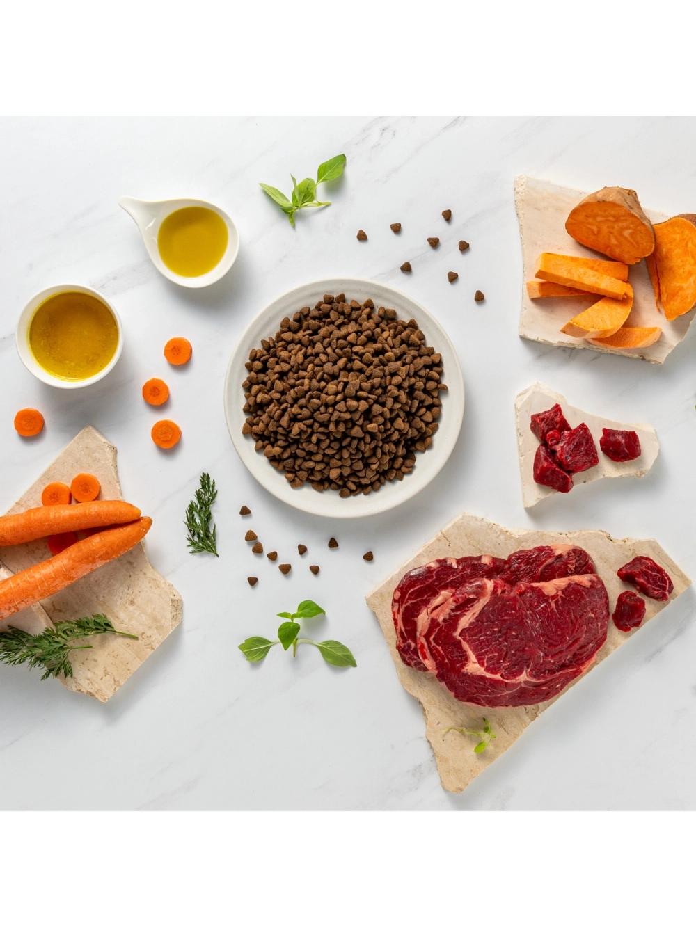 Vetexpert Raw Paleo Ultra Beef Adult Medium/ Large 10kg
