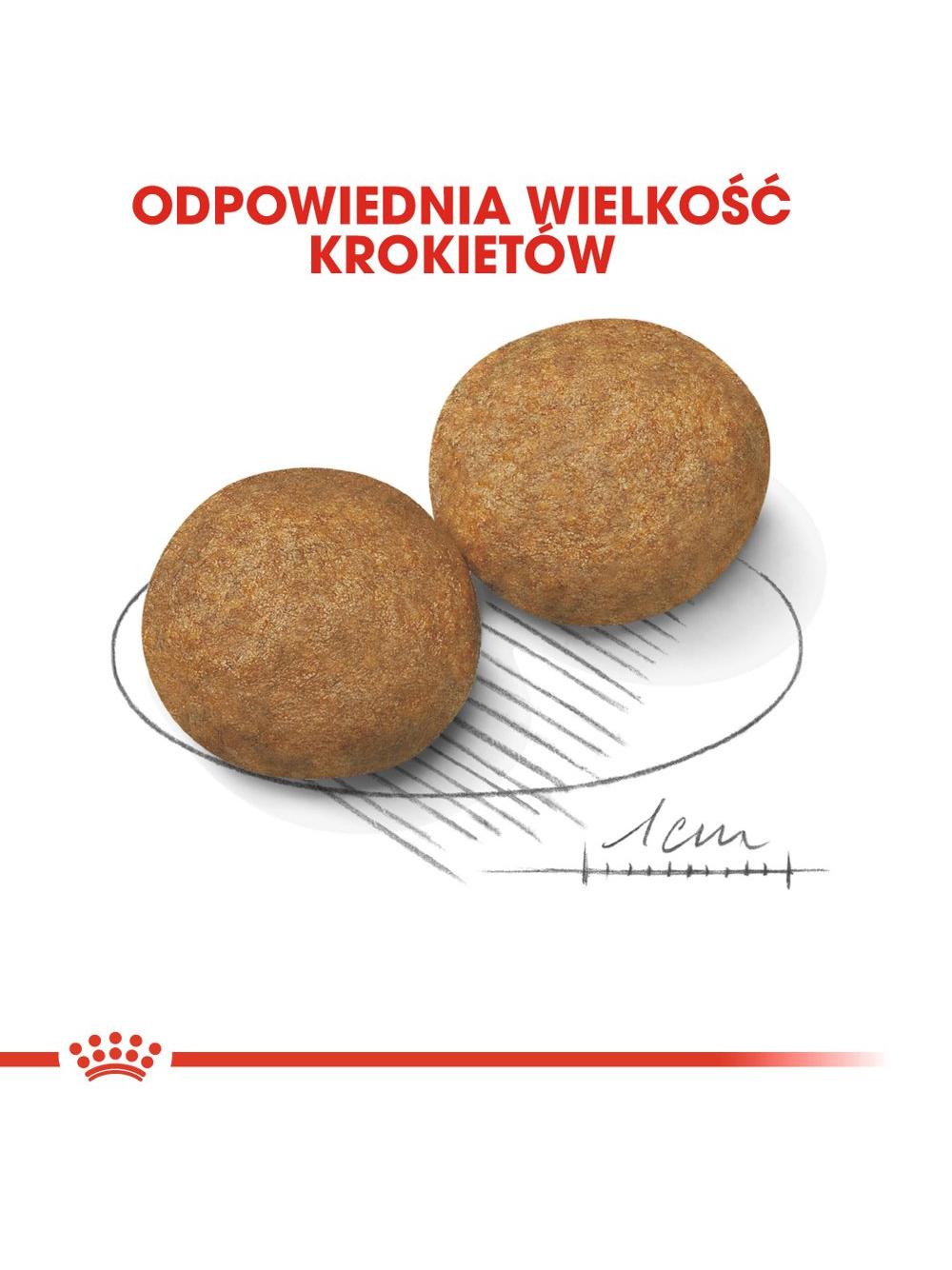 ROYAL CANIN Medium Adult 4kg karma sucha dla psów dorosłych, ras średnich