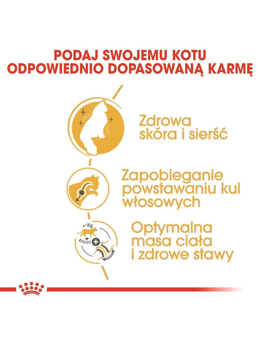 ROYAL CANIN Norvegian Forest Cat Adult 2kg karma sucha dla kotów dorosłych rasy norweski leśny