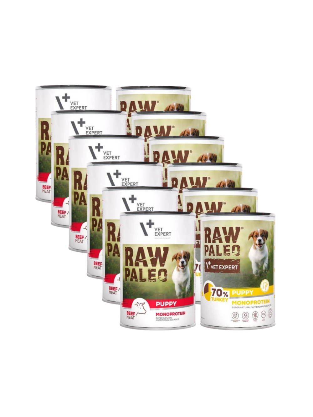 Vetexpert Raw Paleo Puppy Mix Smaków 12x400g