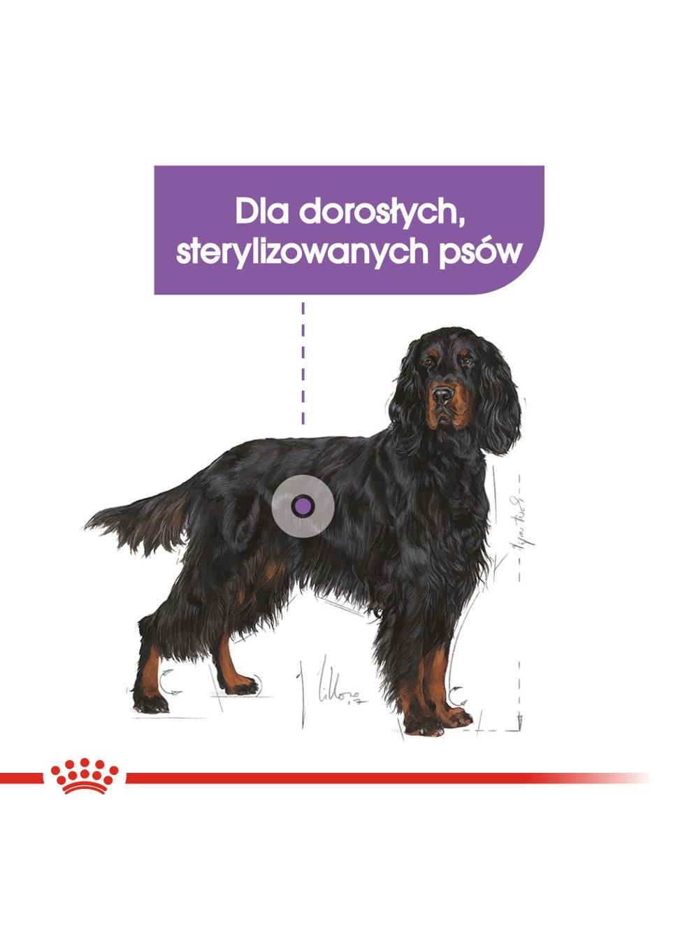 ROYAL CANIN CCN Maxi Sterilised 12kg karma sucha dla psów dorosłych, ras dużych, sterylizowanych