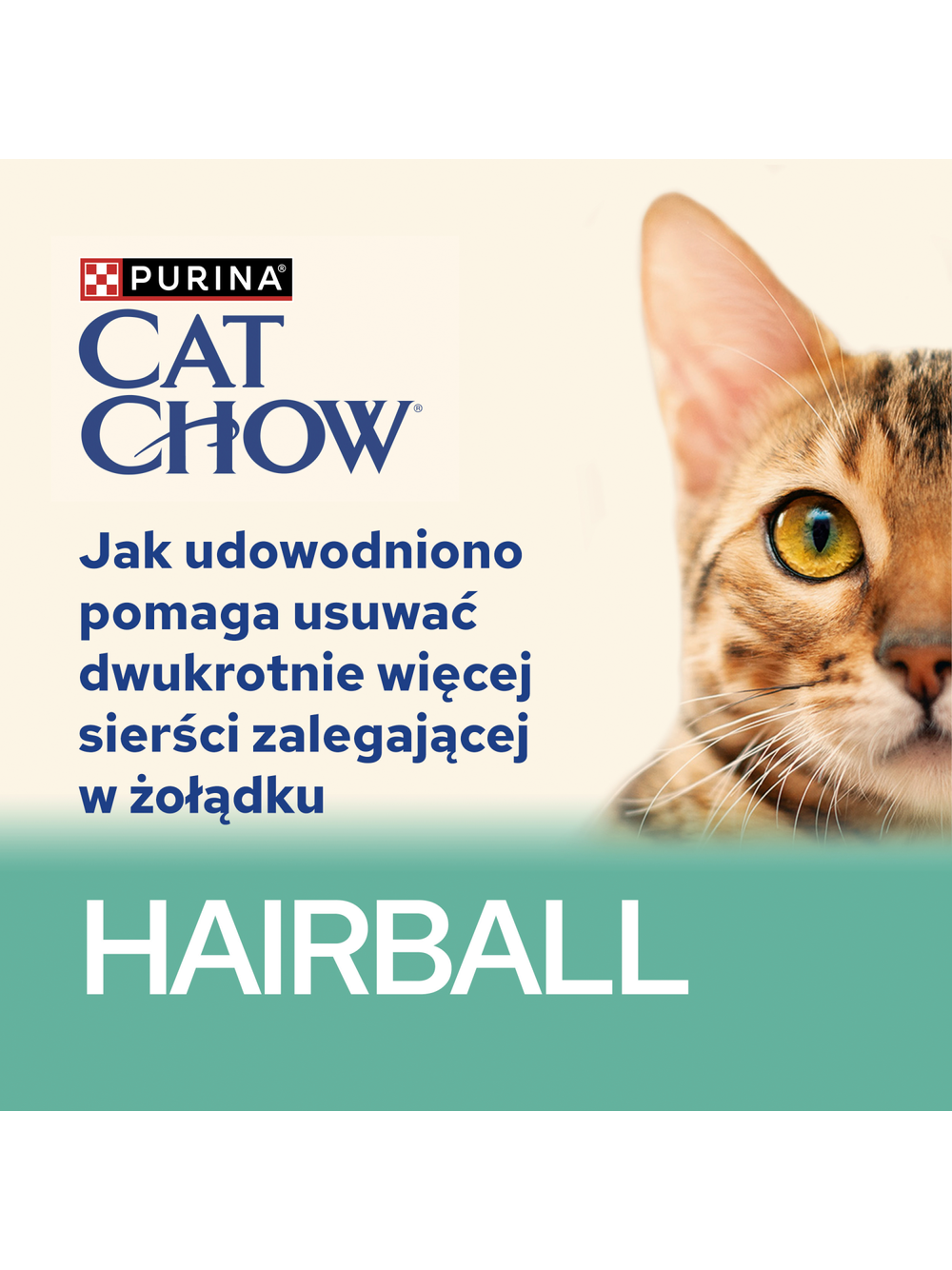 CAT CHOW Hairball Karma dla kotów z kurczakiem i zieloną fasolką w sosie 10x85g