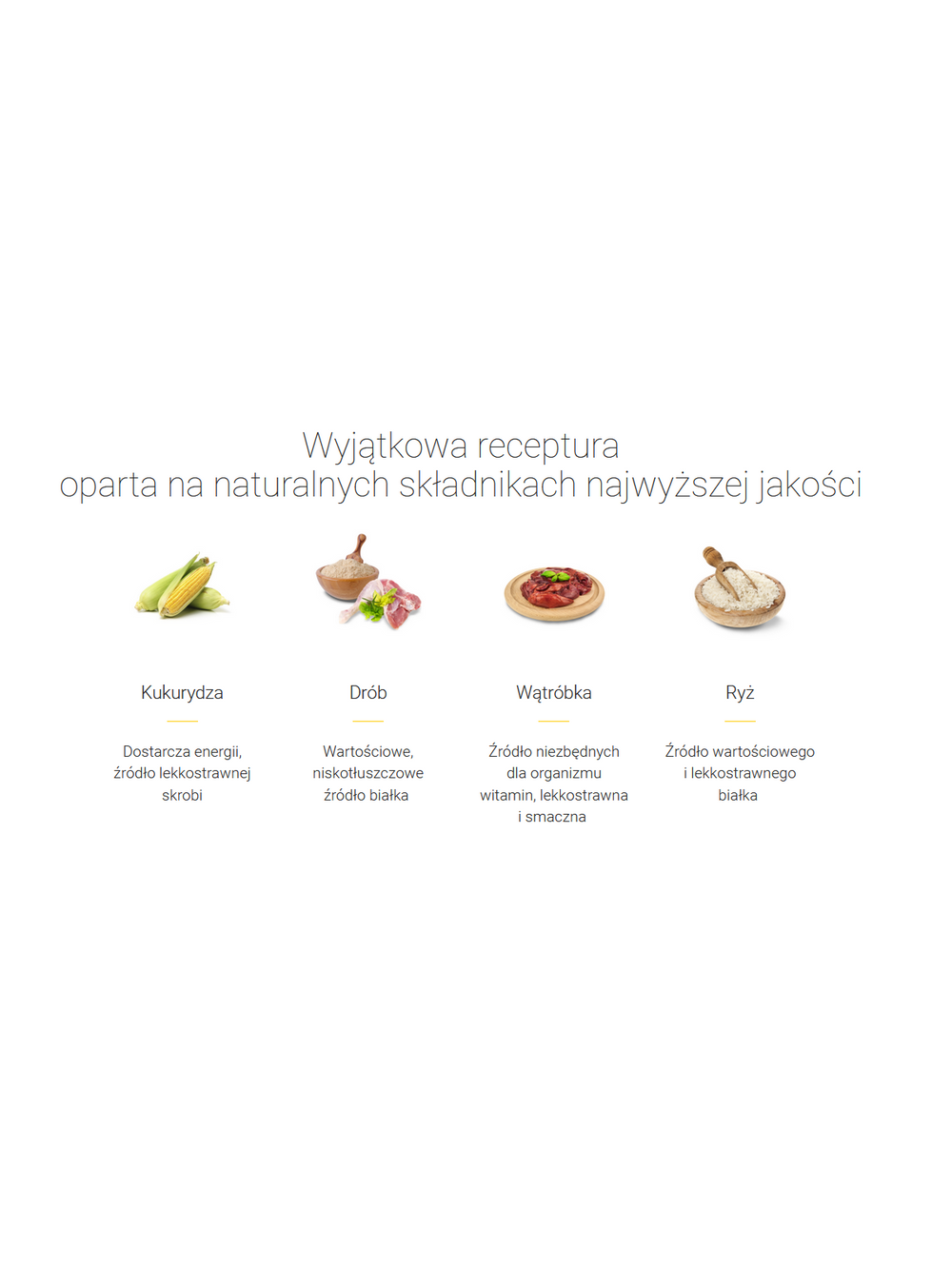 JOSERA Leger 400g + niespodzianka dla kota GRATIS!