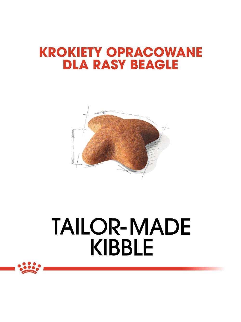 ROYAL CANIN Beagle Adult 12kg karma sucha dla psów dorosłych rasy beagle + niespodzianka dla psa GRATIS!