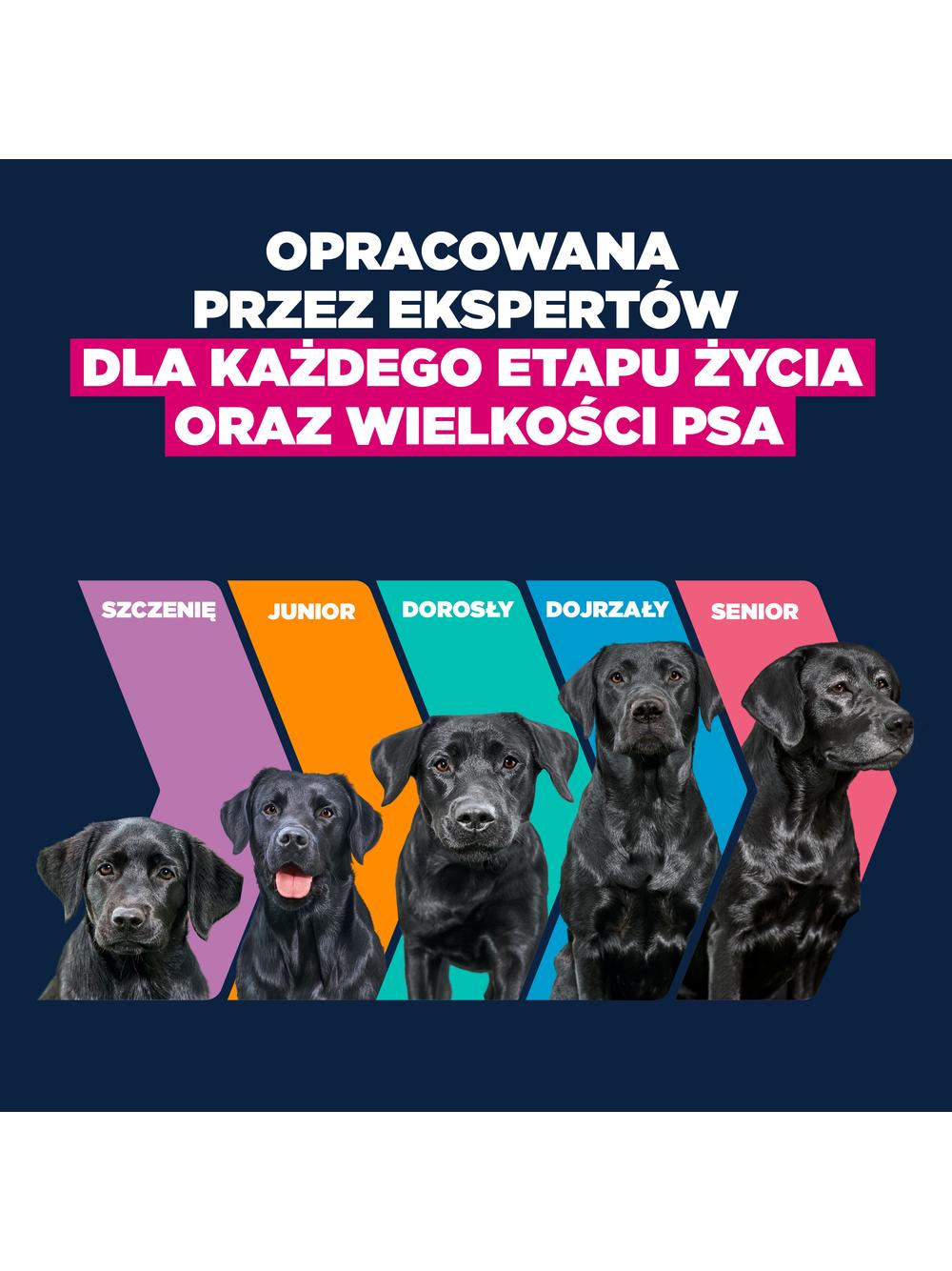 EUKANUBA Junior Large 15kg