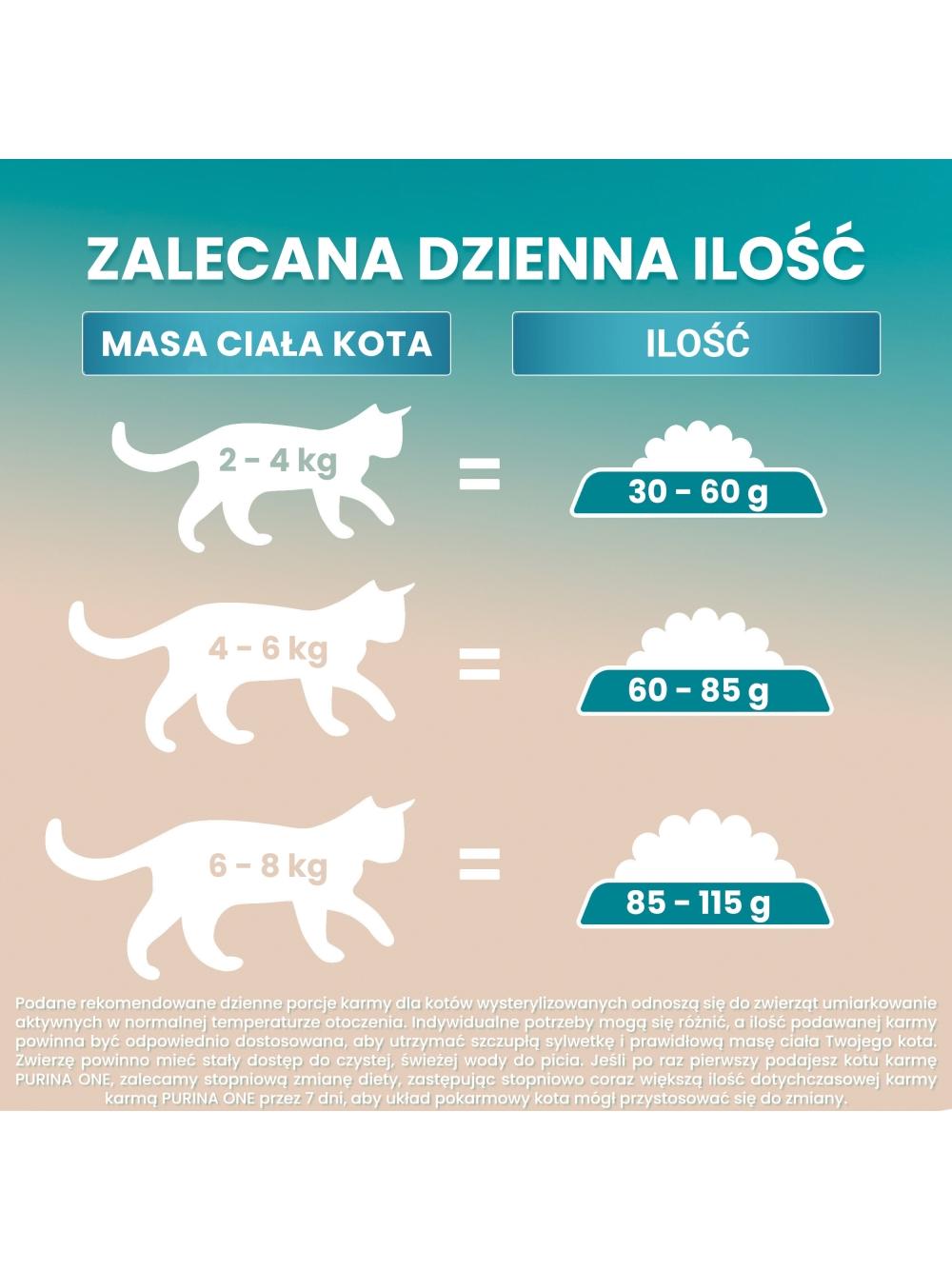 PURINA ONE Bifensis Adult Karma dla kotów dorosłych bogata w łososia 6x1,1 kg