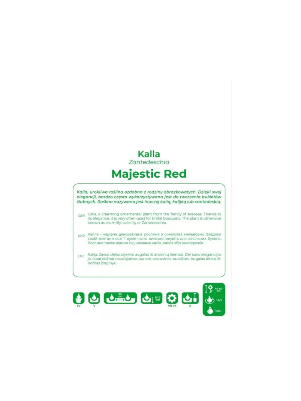 Kalla Majestic Red czerwona 1szt.