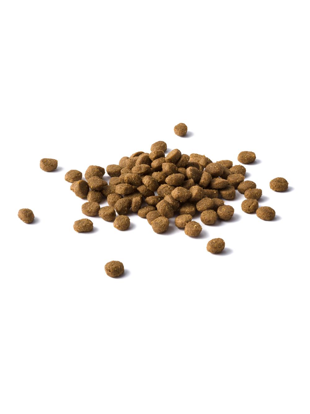 PURINA Cat Chow Sensitive Karma z łososiem 15kg