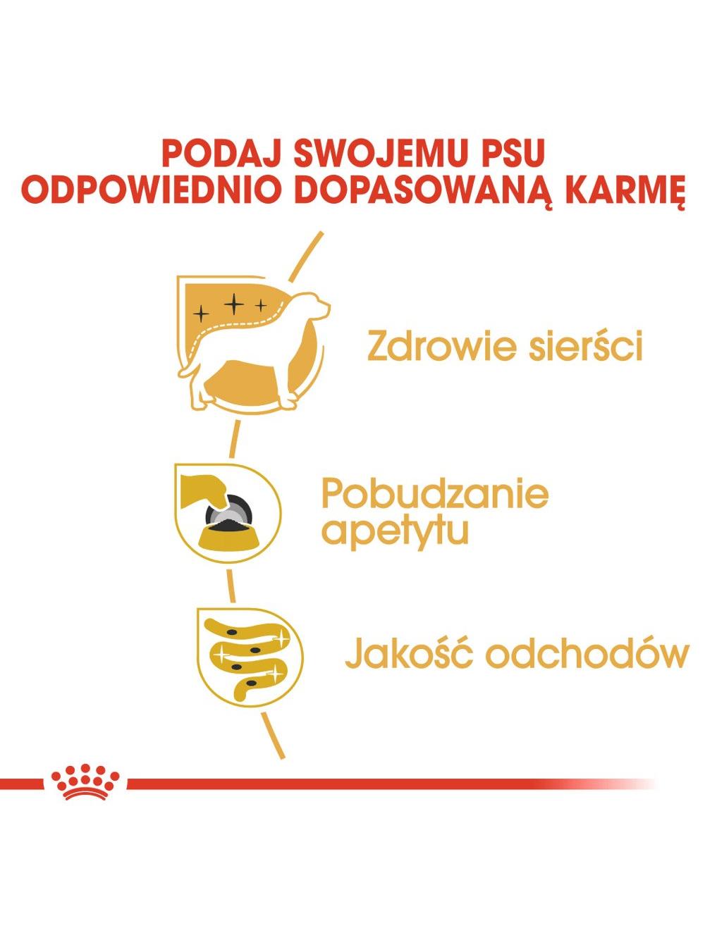ROYAL CANIN Yorkshire Terrier Adult 12x85g karma mokra - pasztet, dla psów dorosłych rasy yorkshire terrier