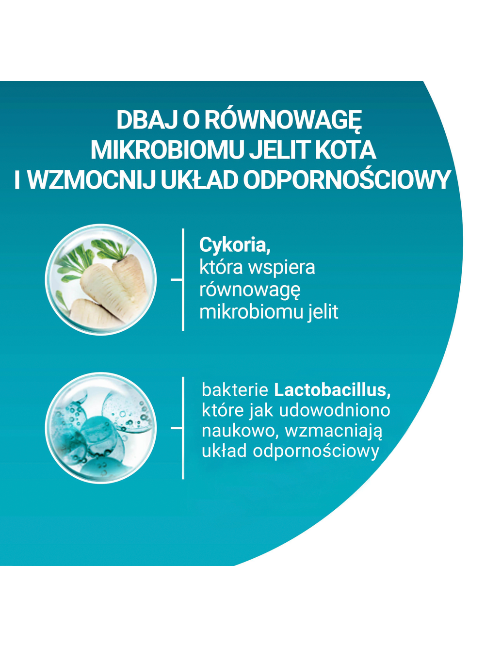 Purina One Sterilcat Bogata w Wołowinę i Pszenicę 9,75kg