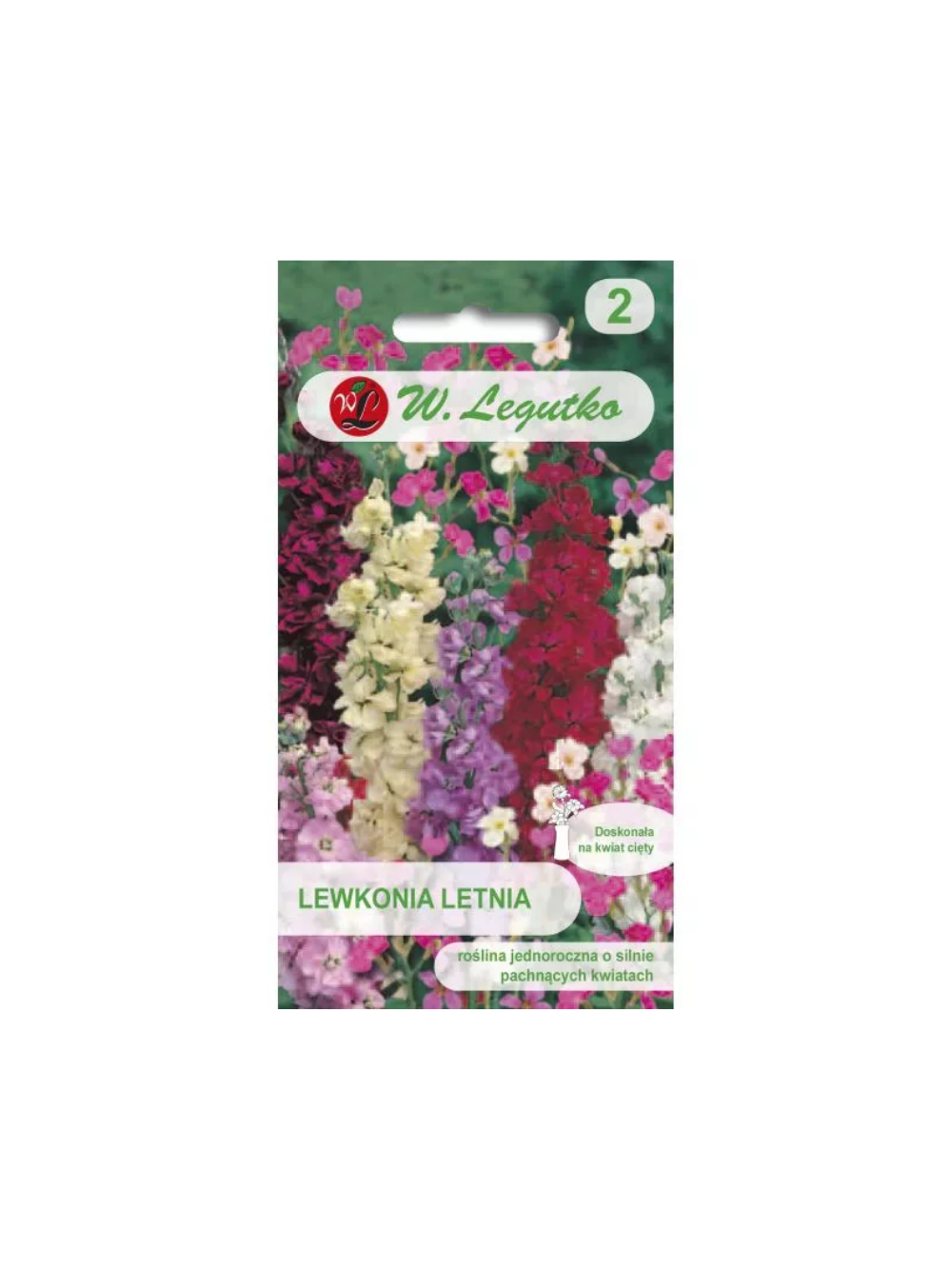 Lewkonia letnia mieszanka