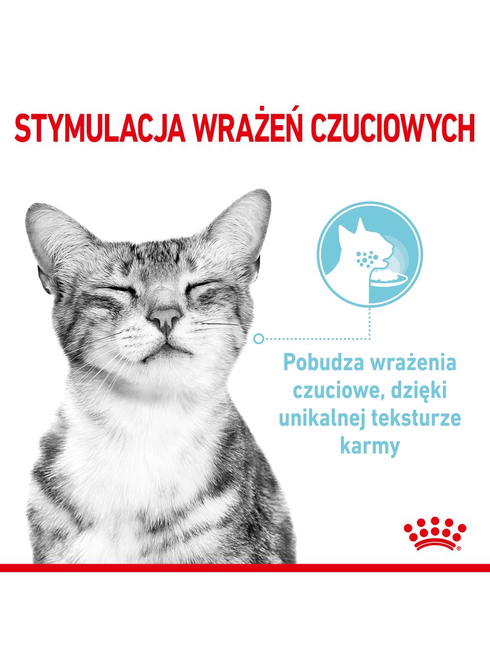 ROYAL CANIN Sensory Feel/Taste/Smell 85g
