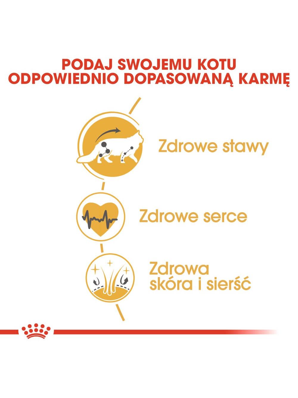 ROYAL CANIN Maine Coon Adult 4kg karma sucha dla kotów dorosłych rasy maine coon