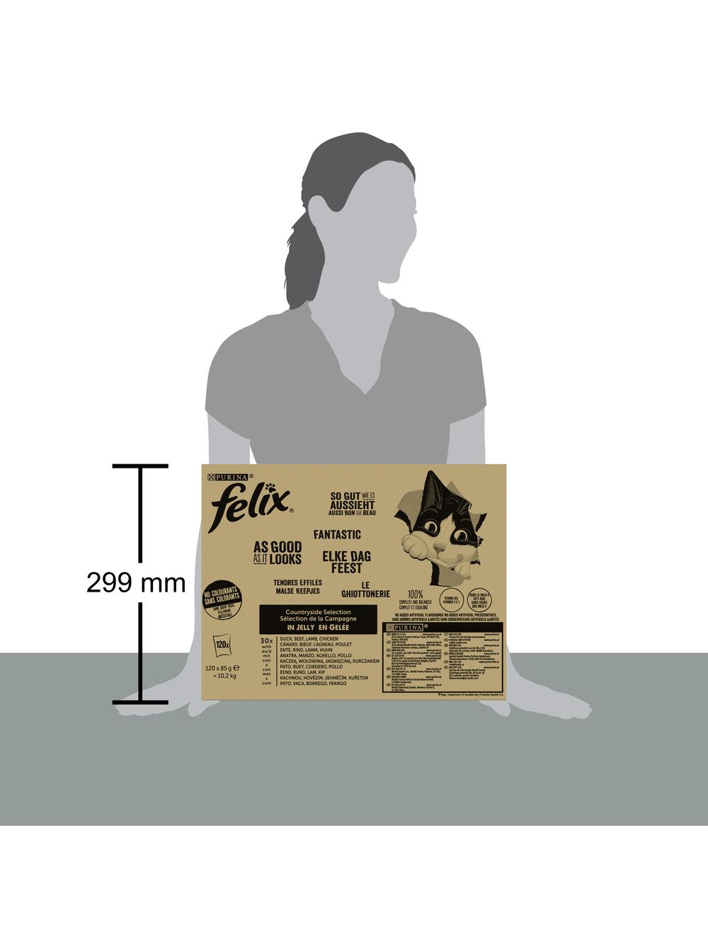 FELIX Countryside Selection Karma dla kotów mięsny mix w galaretce 120x85g