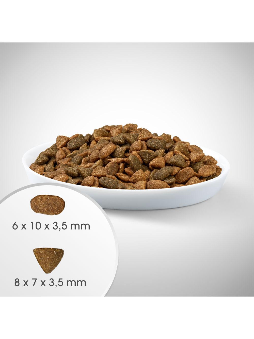 Perfect Fit™ - sucha karma pełnoporcjowa dla kociąt poniżej 1 roku, bogata w kurczaka 7kg