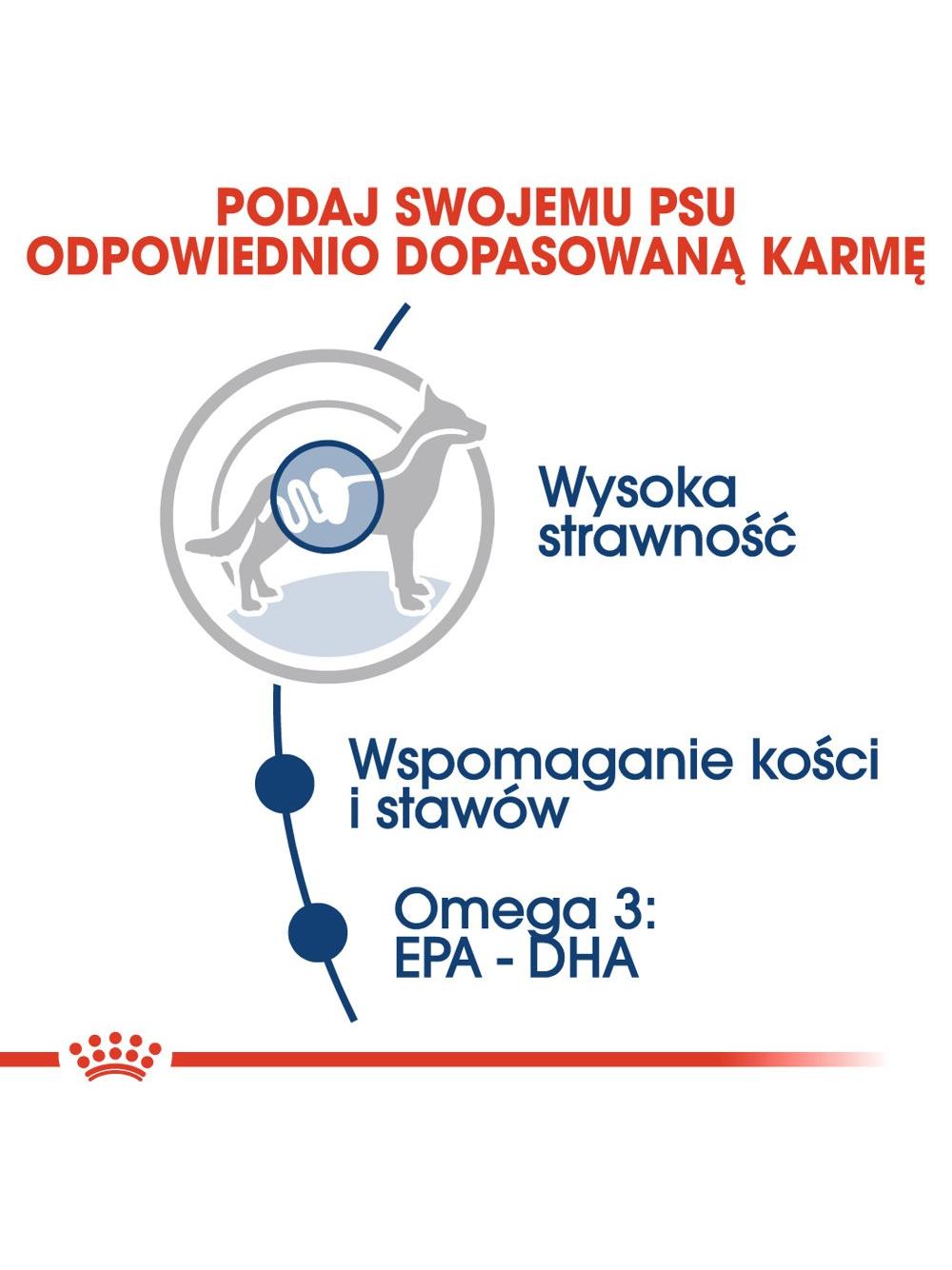 ROYAL CANIN Maxi Adult 10x140g karma mokra w sosie dla psów dorosłych ras dużych