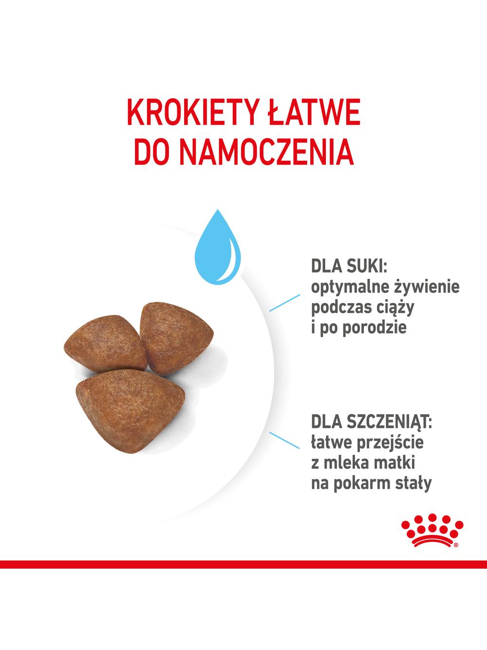 ROYAL CANIN Mini Starter Mother & Babydog 1kg karma sucha dla suk w ciąży i okresie laktacji oraz szczeniąt, od 4 do 8 tygodnia, ras małych  + niespodzianka dla psa GRATIS!