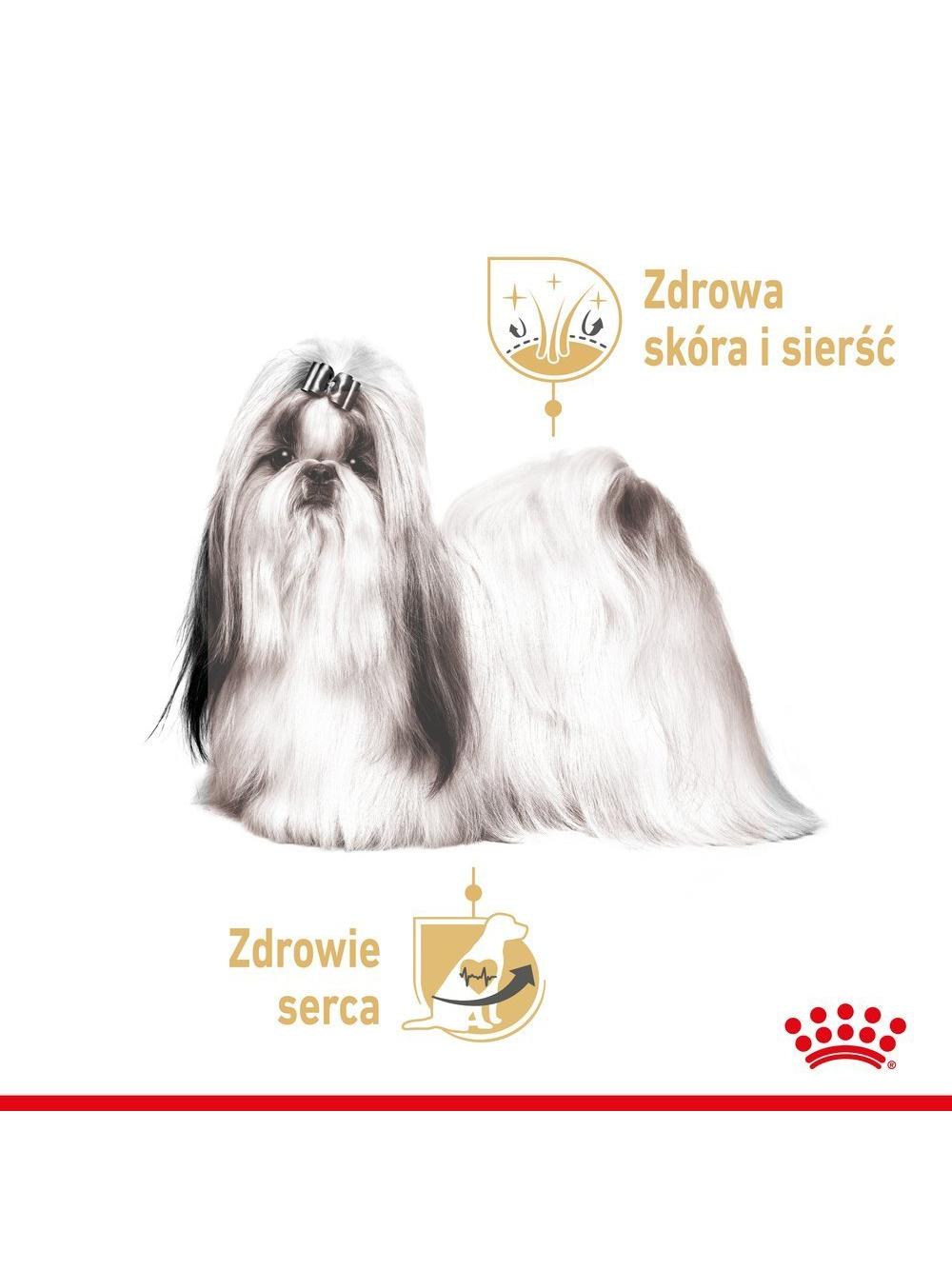 ROYAL CANIN Shih Tzu Adult 12x85g karma mokra -pasztet, dla psów dorosłych rasy shih tzu