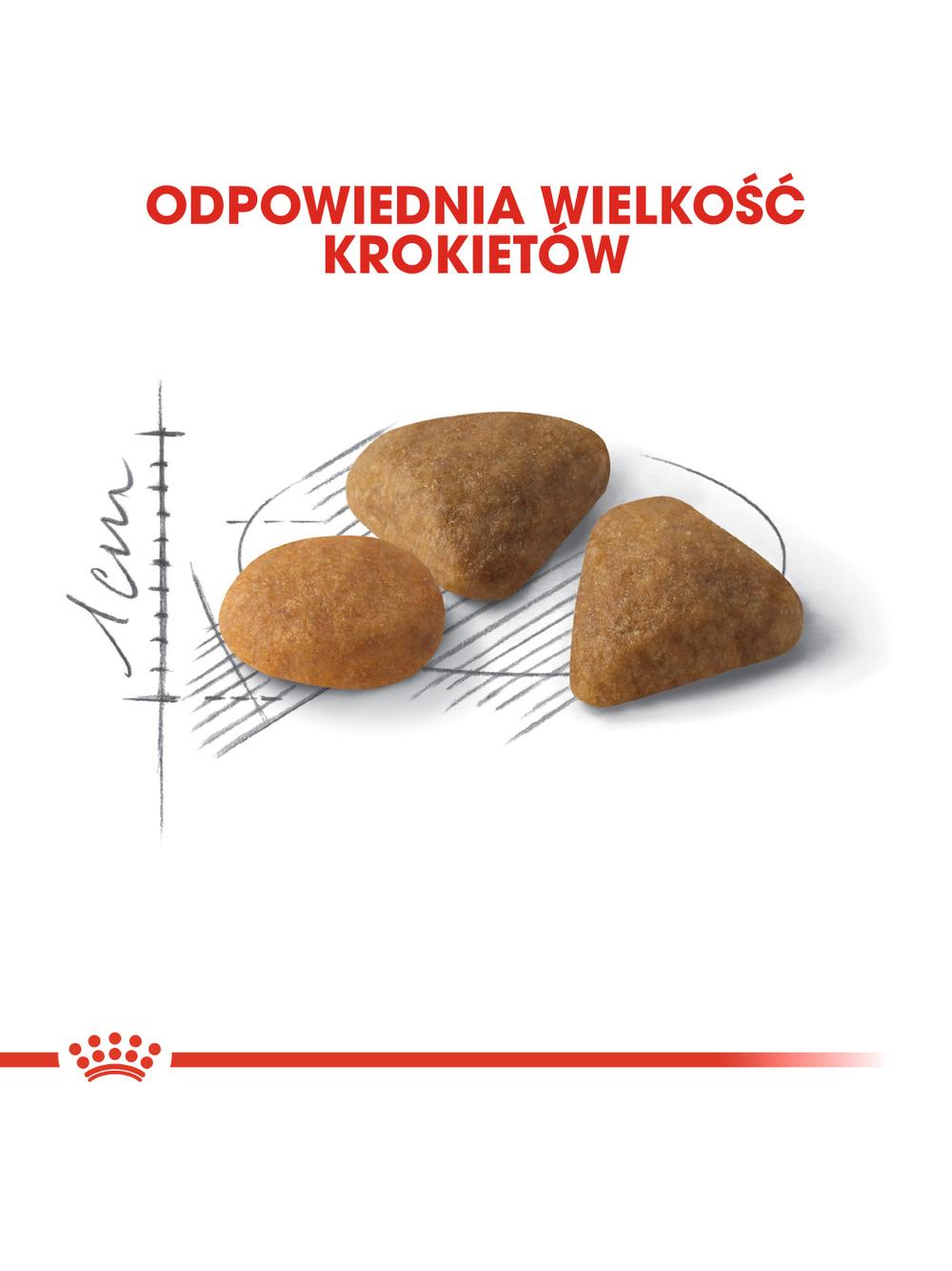 ROYAL CANIN  Exigent Savour 35/30 Sensation 10kg karma sucha dla kotów dorosłych, wybrednych, kierujących się teksturą krokieta + Piłka dla kota GRATIS!