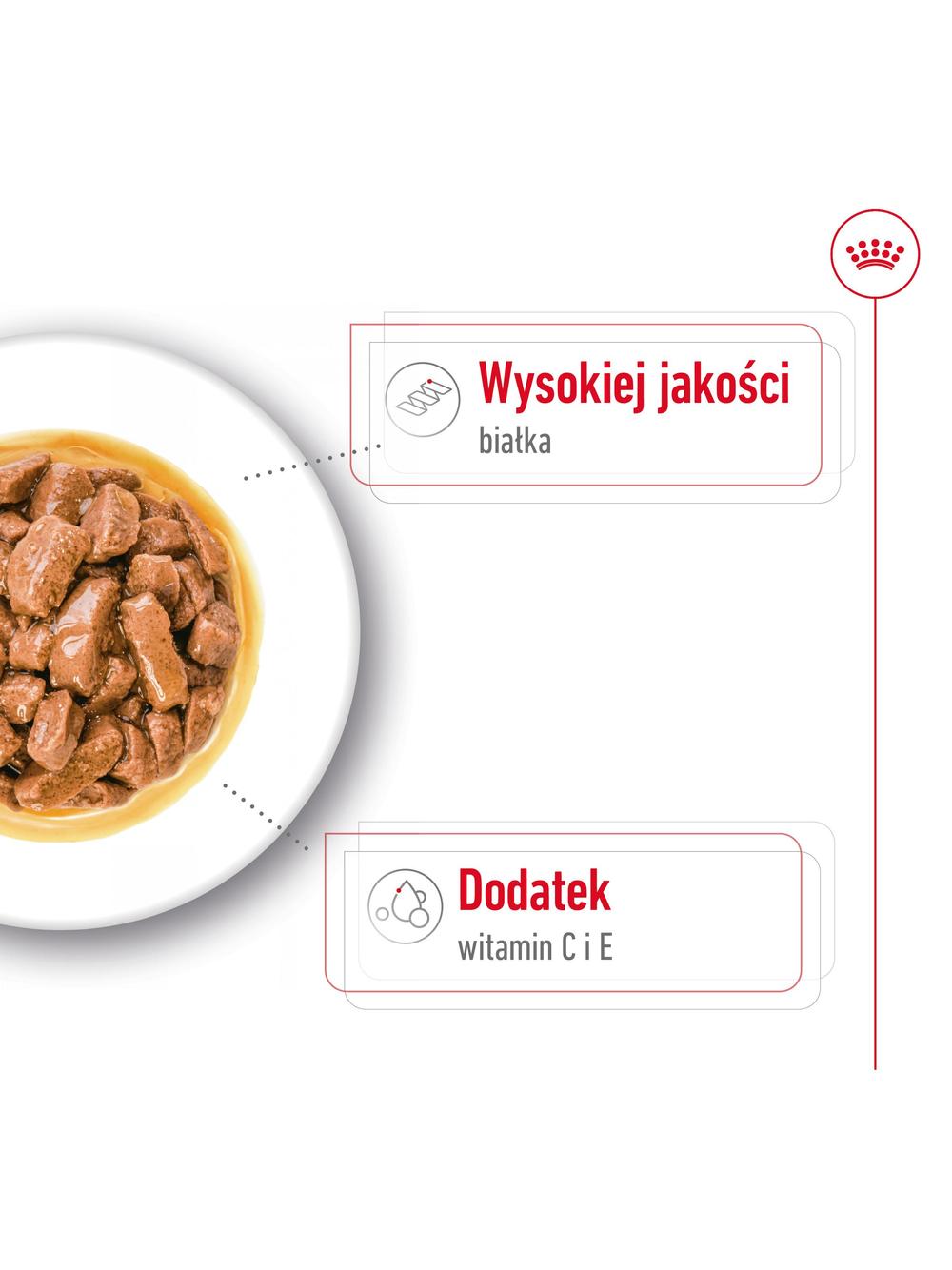 ROYAL CANIN Medium Adult 10x140g karma mokra w sosie dla psów dorosłych ras średnich