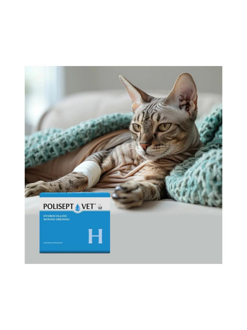 POLISEPT VET® H – opatrunek na rany dla psa i kota 3 szt.