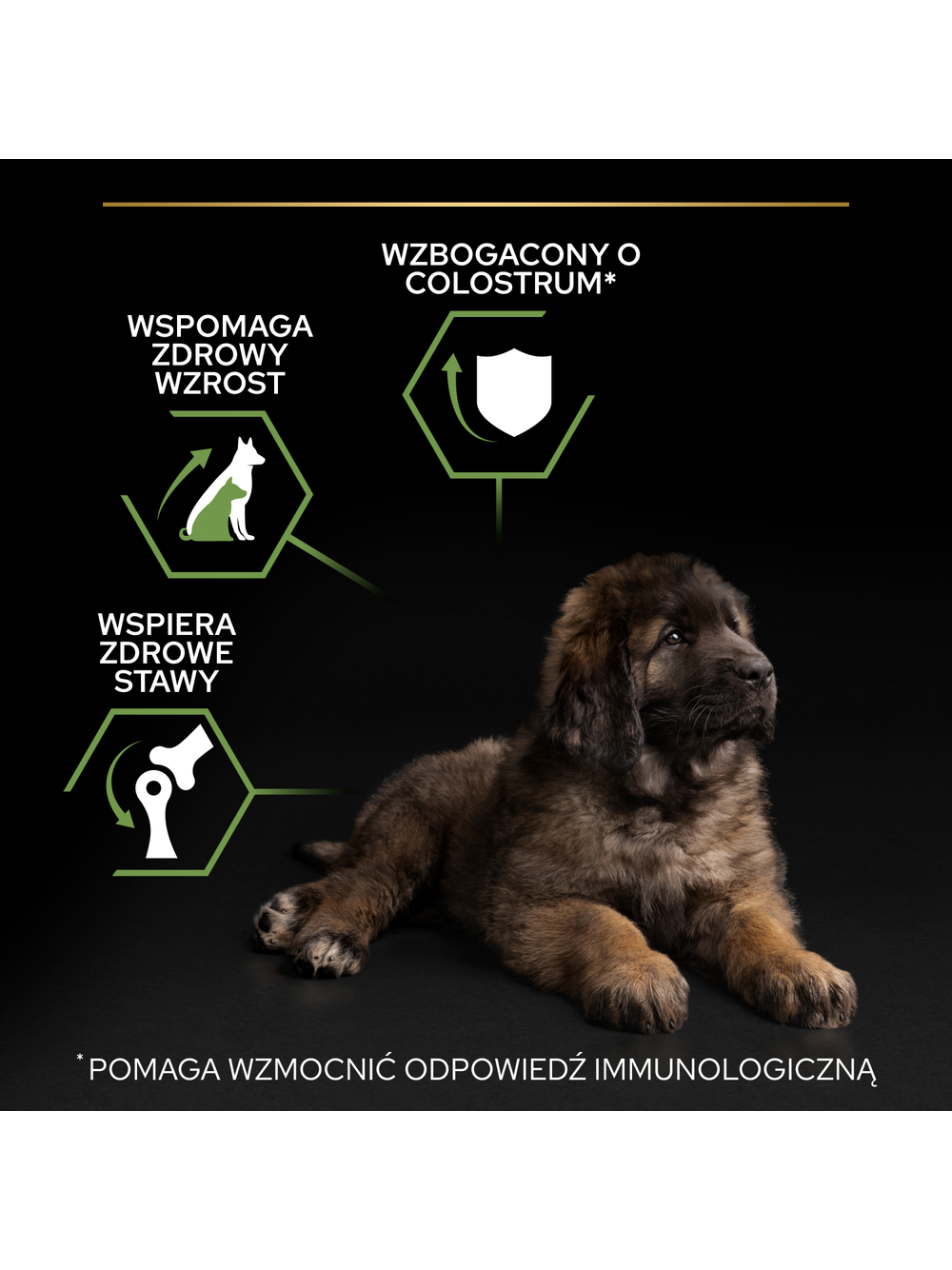 PRO PLAN Healthy Start Large Robust Puppy Karma dla szczeniąt bogata w kurczaka 12kg
